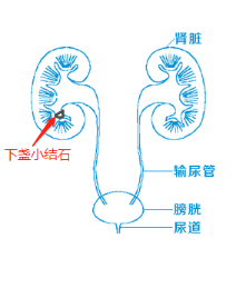 vQDDGBrSVcibIAWjQ71dXjs00hOwXLiaracWl39EmCScMRLRLplfe8HNEdJicbCLGzBIdcfmapzLBd56J11e1lPrQ.png