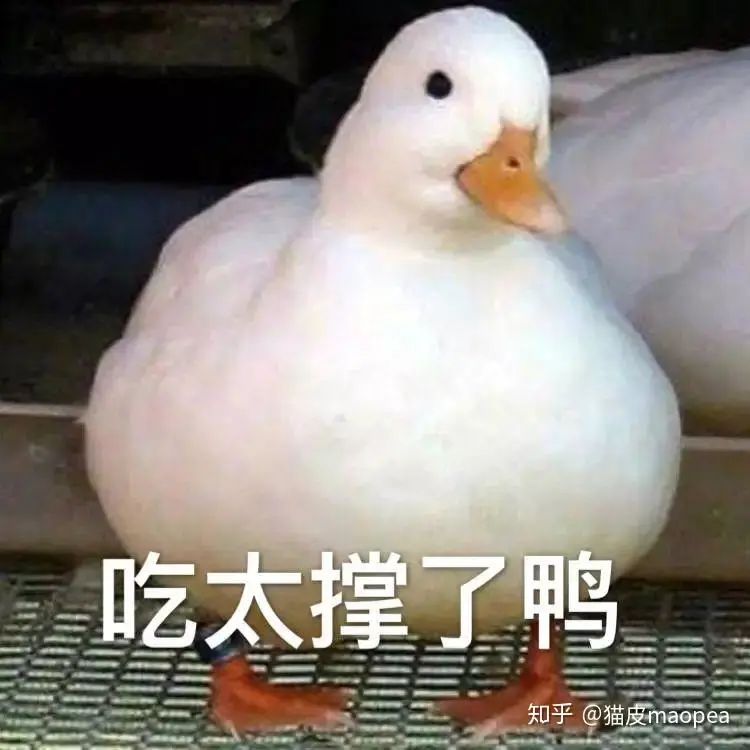1688695707592279.jpg