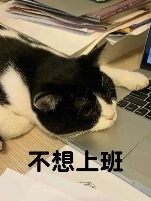 2023-10-10_上班就头痛是上班的问题吗？_3.jpg