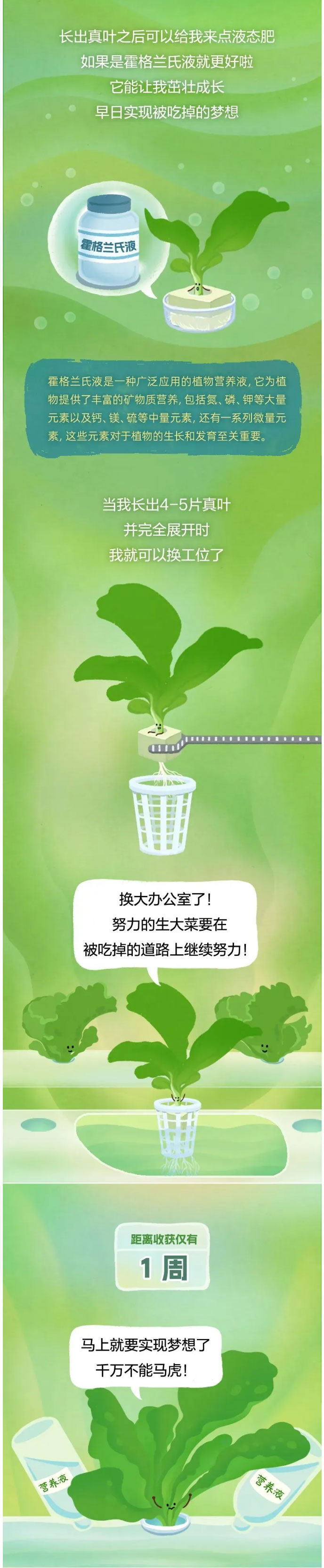 【饮食健康】这种蔬菜，高纤维、低嘌呤，还能降低胆固醇！减肥的人吃想长胖都难02.jpg