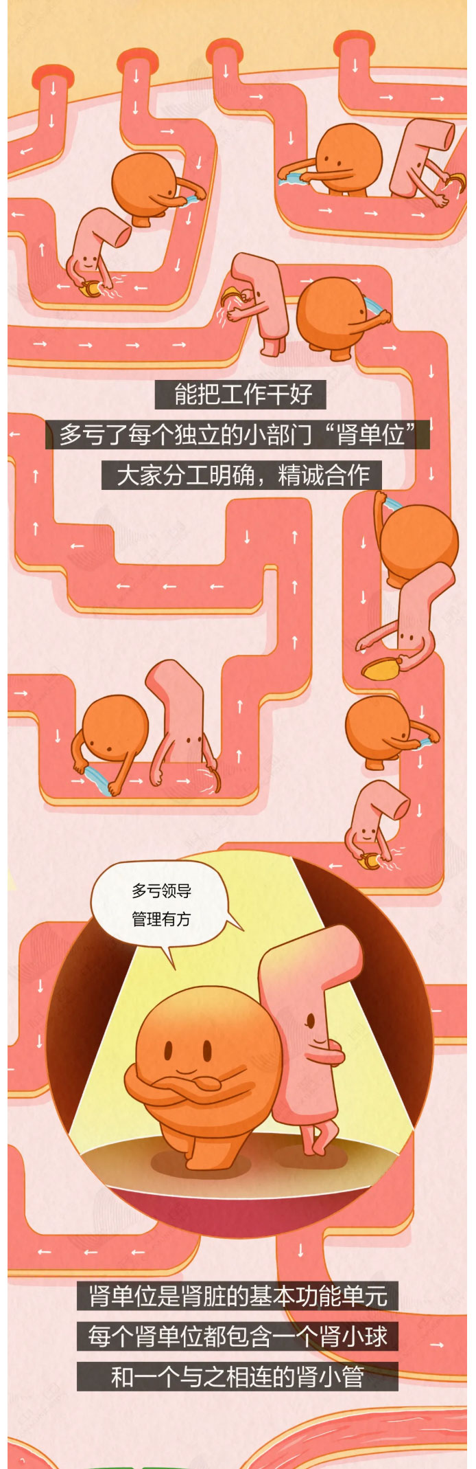 这4个坏习惯，正一点点透支你的肾_02.jpg